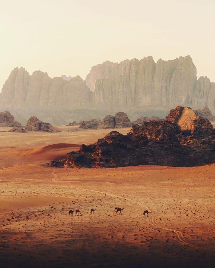 Wadi Rum Desert Camp エクステリア 写真